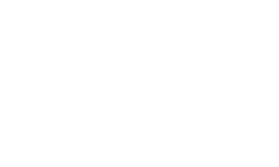 VISIONARY